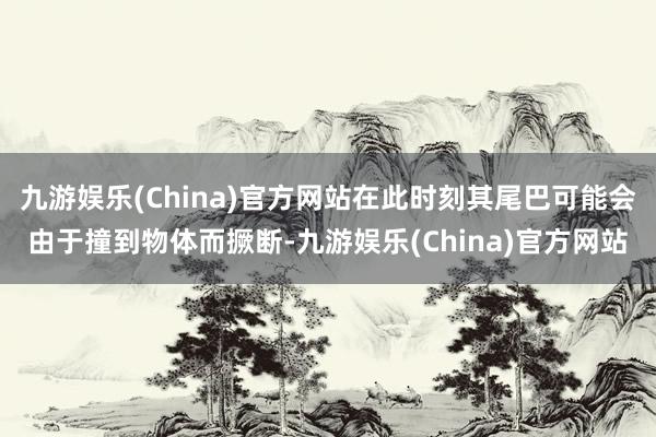 九游娱乐(China)官方网站在此时刻其尾巴可能会由于撞到物体而撅断-九游娱乐(China)官方网站