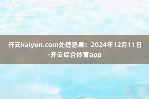 开云kaiyun.com处理恶果：2024年12月11日-开云综合体育app