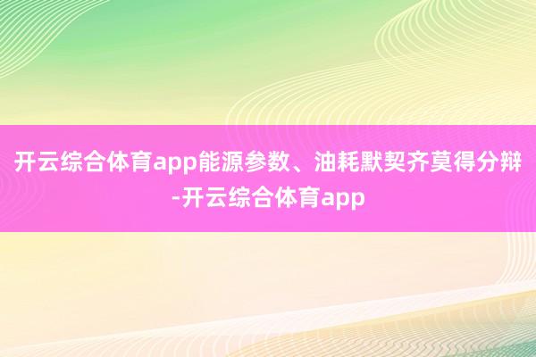 开云综合体育app能源参数、油耗默契齐莫得分辩-开云综合体育