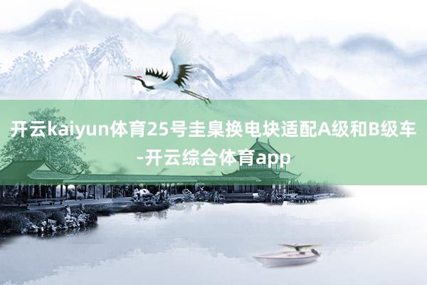 开云kaiyun体育25号圭臬换电块适配A级和B级车-开云综合体育app