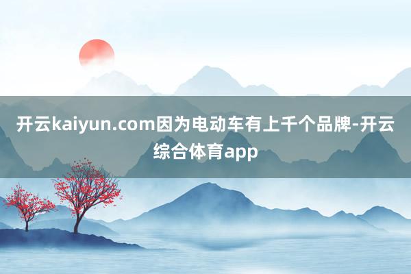 开云kaiyun.com因为电动车有上千个品牌-开云综合体育app