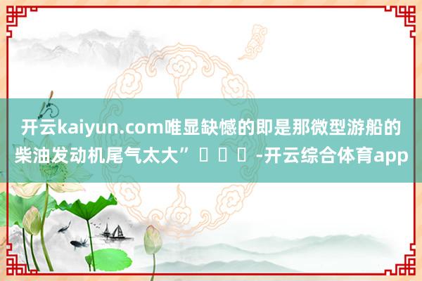 开云kaiyun.com唯显缺憾的即是那微型游船的柴油发动机