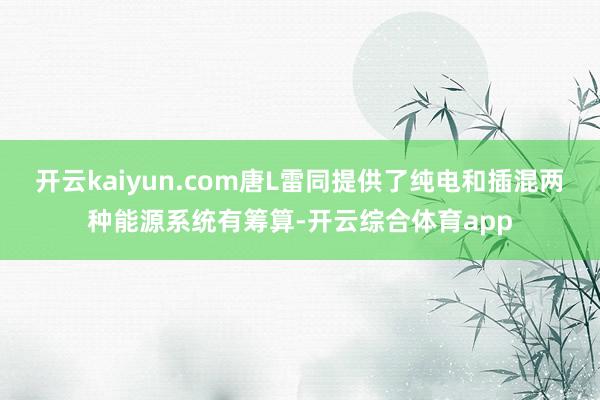 开云kaiyun.com唐L雷同提供了纯电和插混两种能源系统