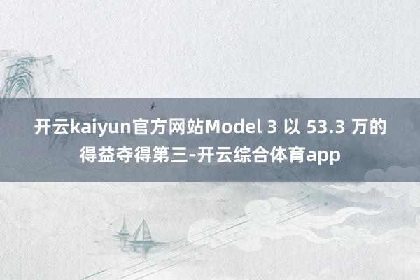 开云kaiyun官方网站Model 3 以 53.3 万的得