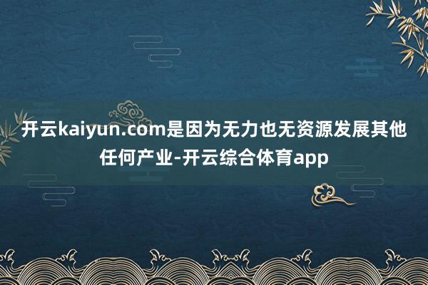 开云kaiyun.com是因为无力也无资源发展其他任何产业-