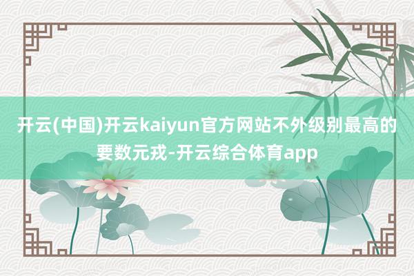 开云(中国)开云kaiyun官方网站不外级别最高的要数元戎-